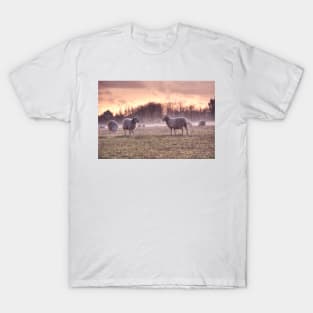 Sheep in Mist T-Shirt